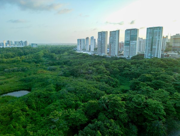 Pros et Cons des Casinos Virtuels et Traditionnels : Une Analyse Complète